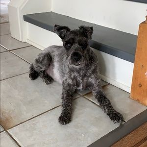 Meet your Posher, Maryanne